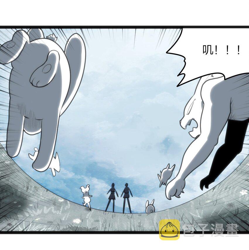 067 兔子，好壮一只大兔子26