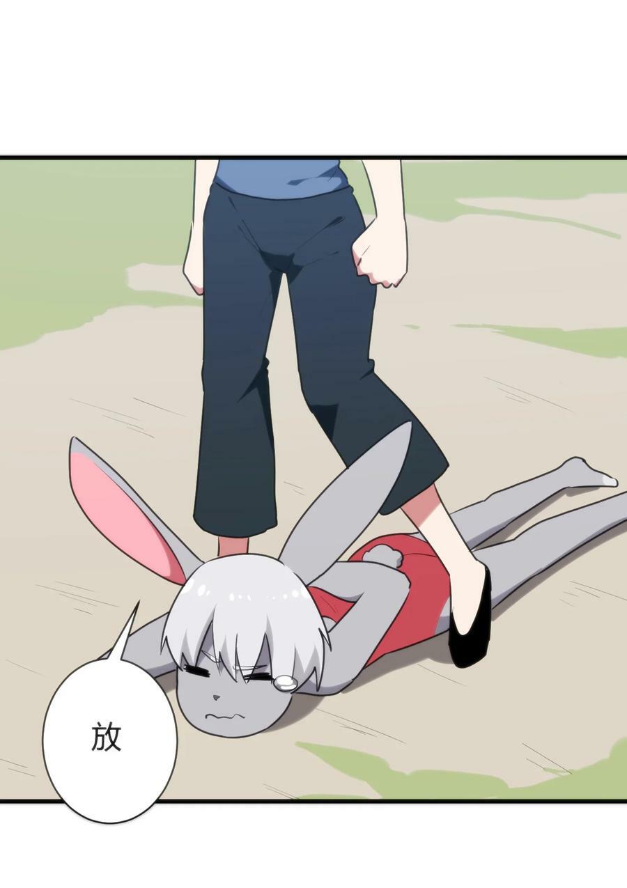 237 朝贡8