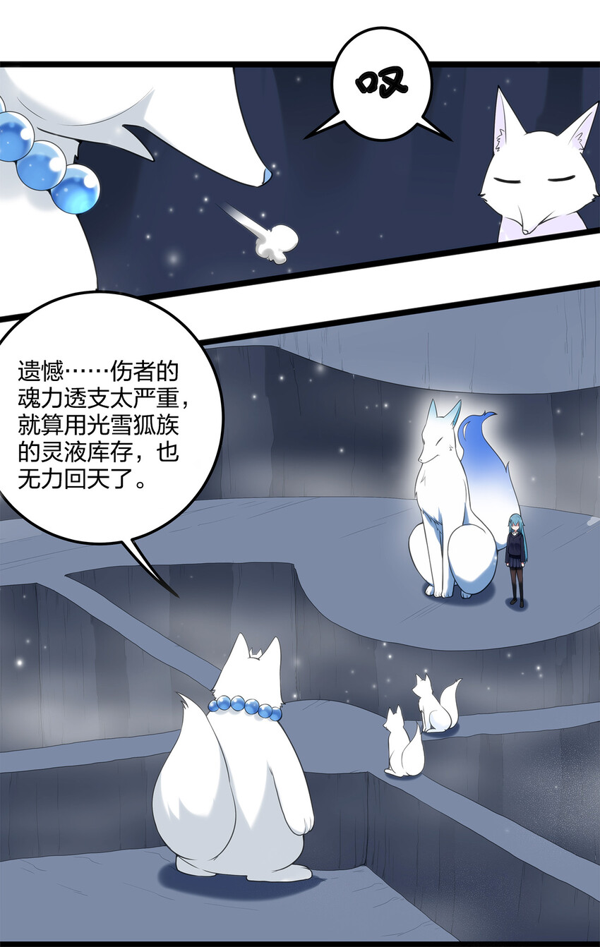 006 第二魂宠6