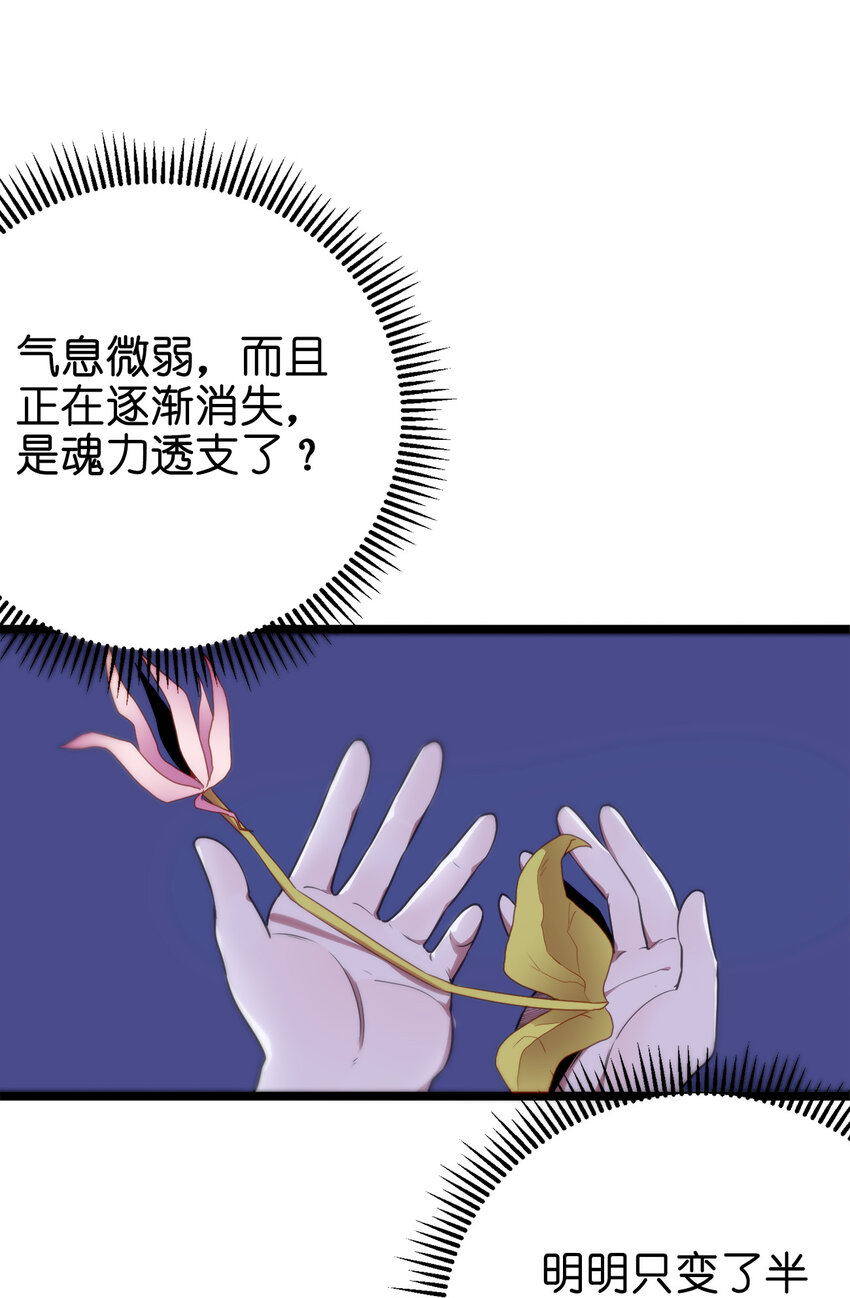 005 七星泰斗撼月狐60
