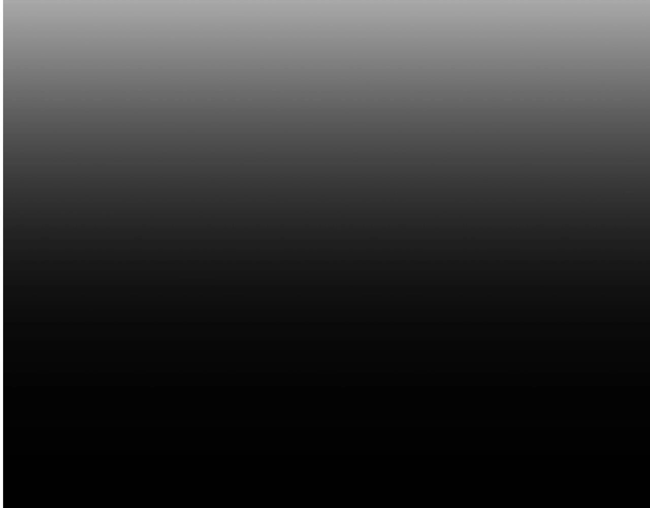 第80话 导向100