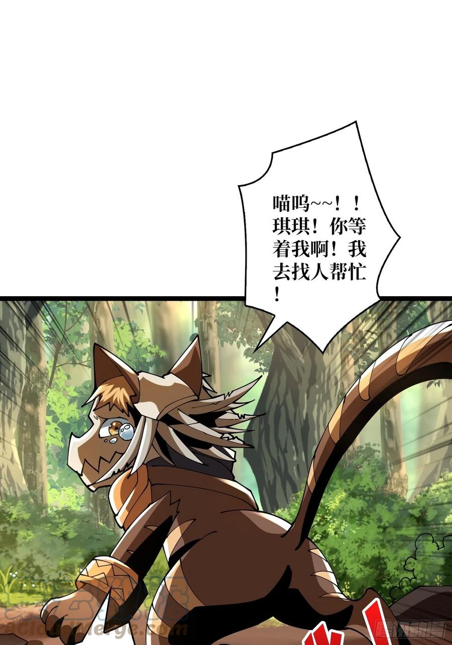 猫的报恩30