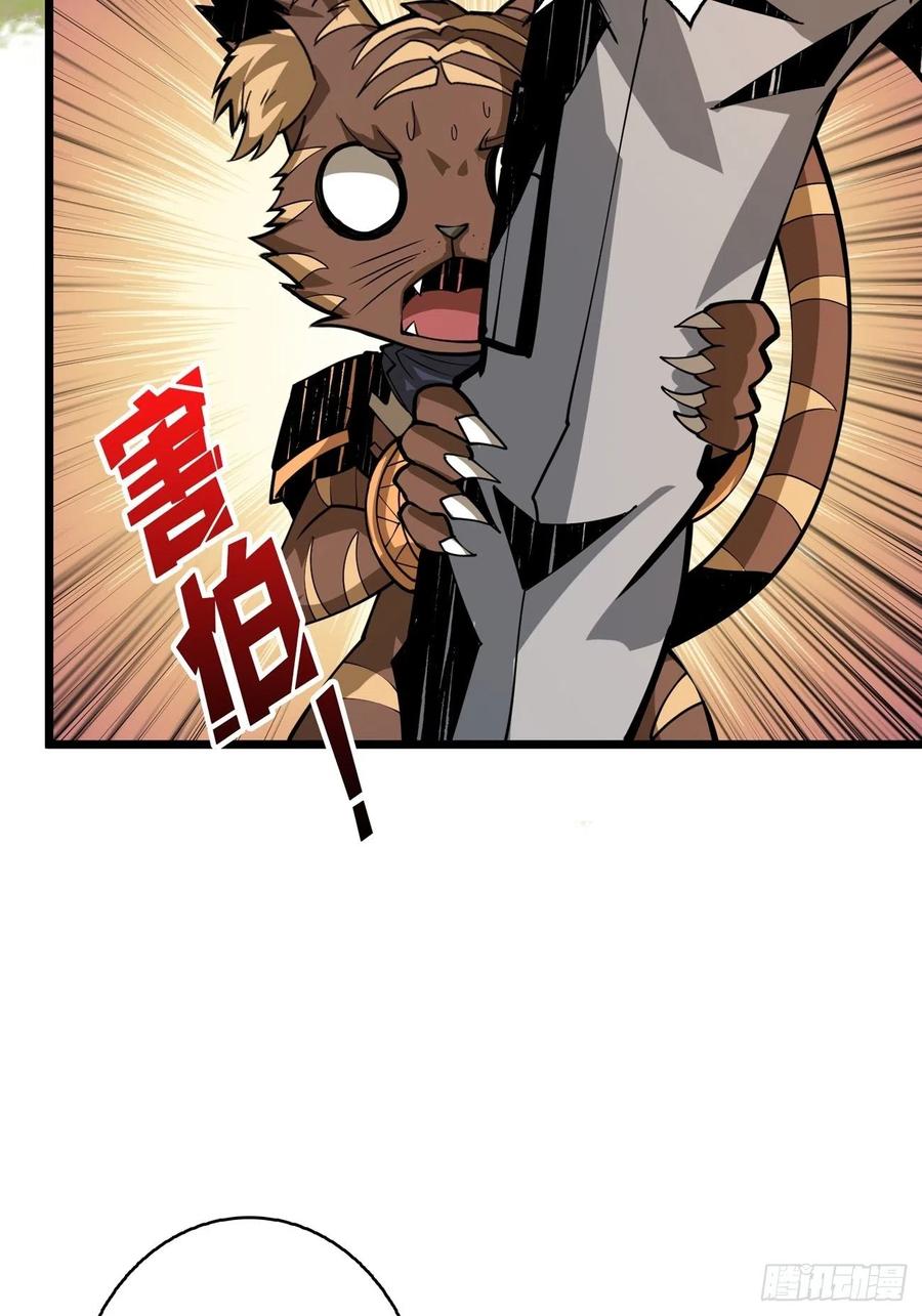 小可爱与大聪明5