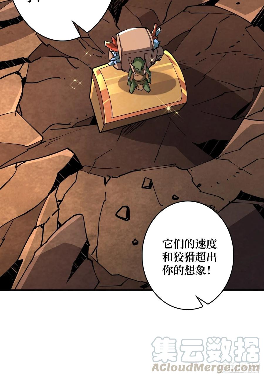 行走的宝库15