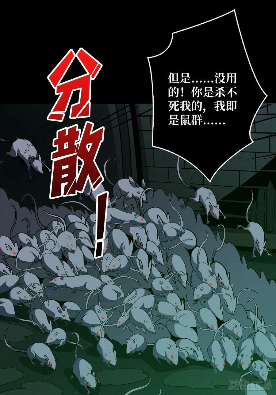 下水道的鼠鼠59