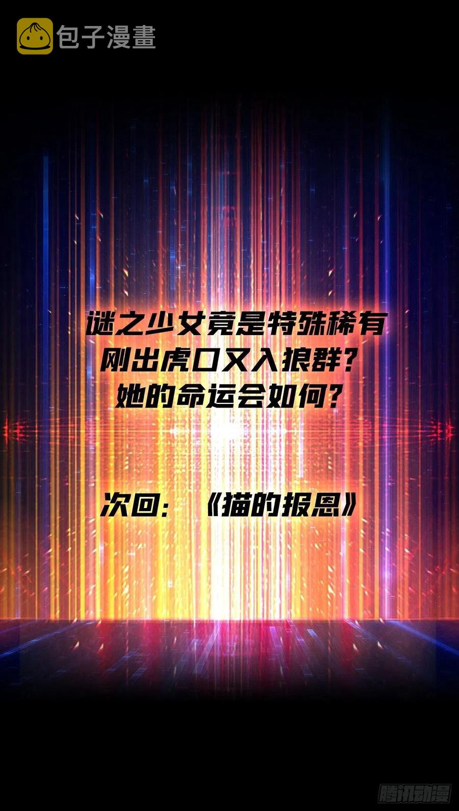猫与谜之少女55