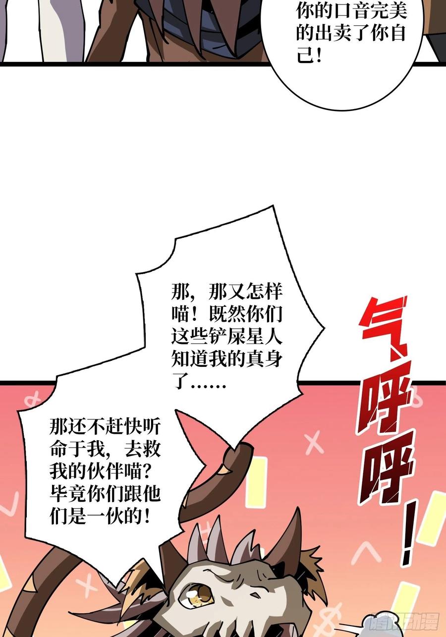 猫的报恩50