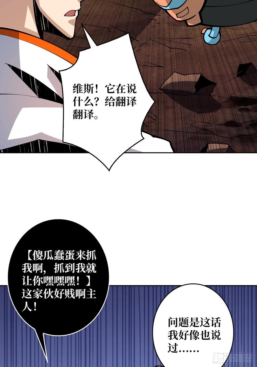 行走的宝库28