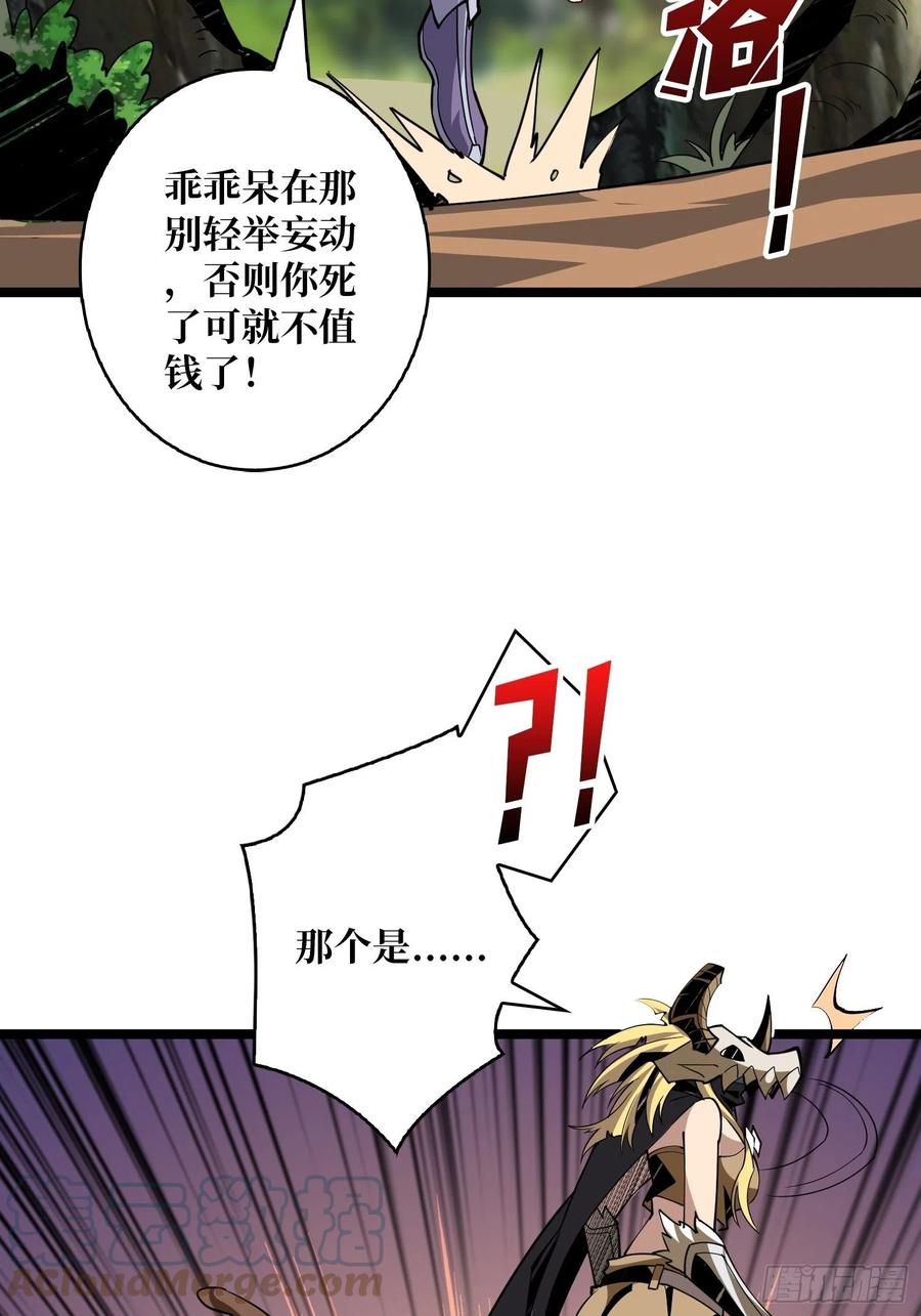 猫的报恩24