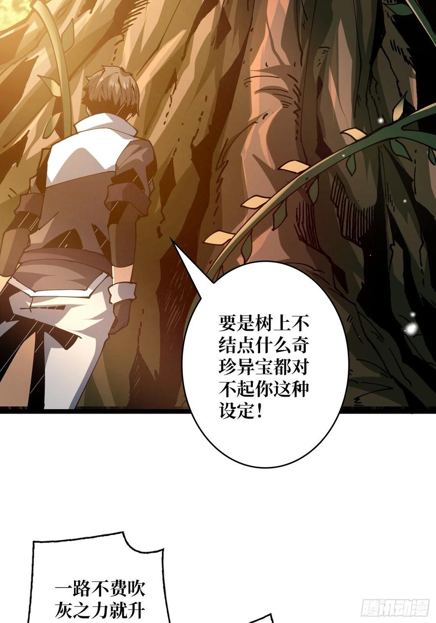 猫的报恩41