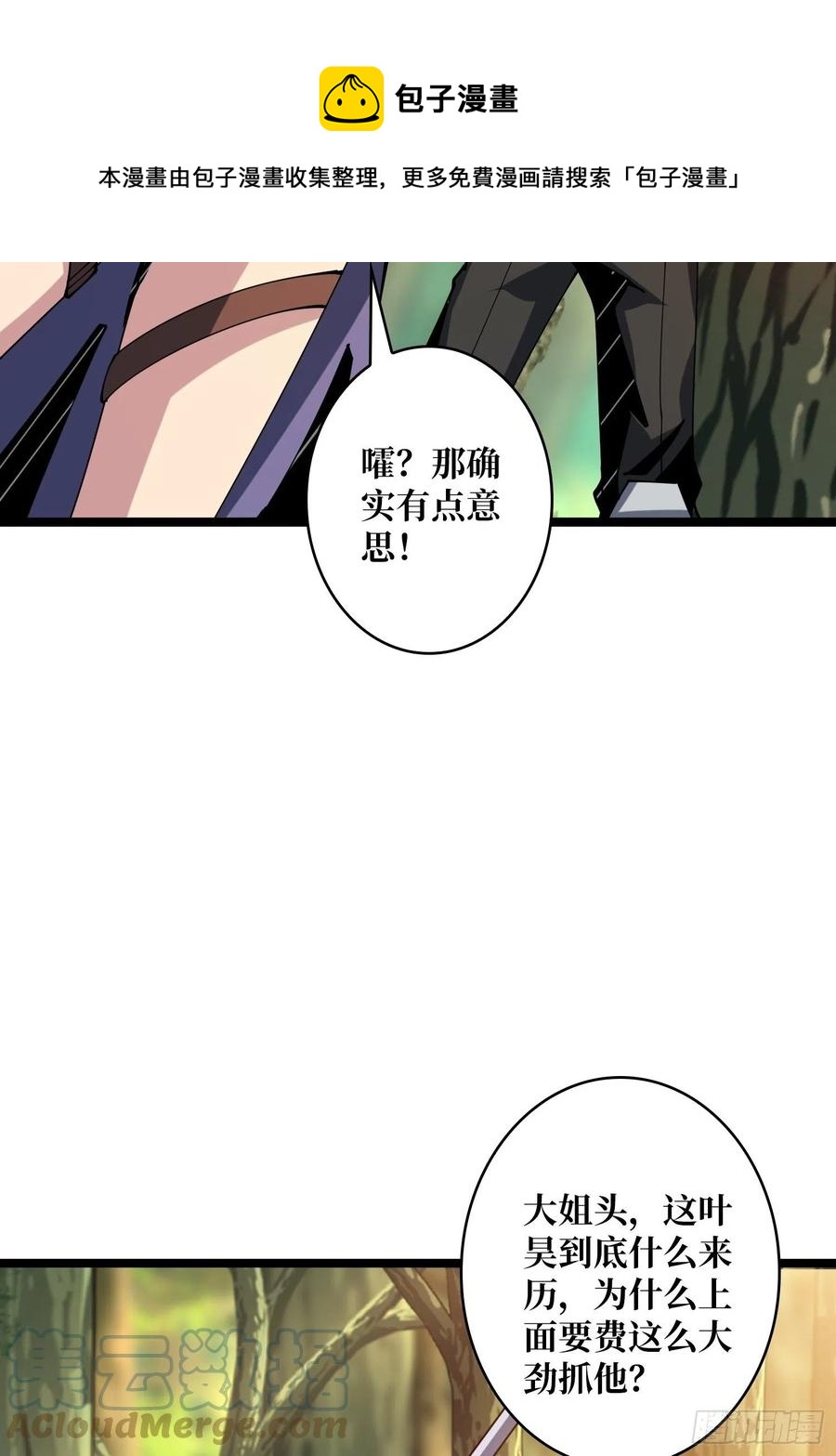 猫的报恩36