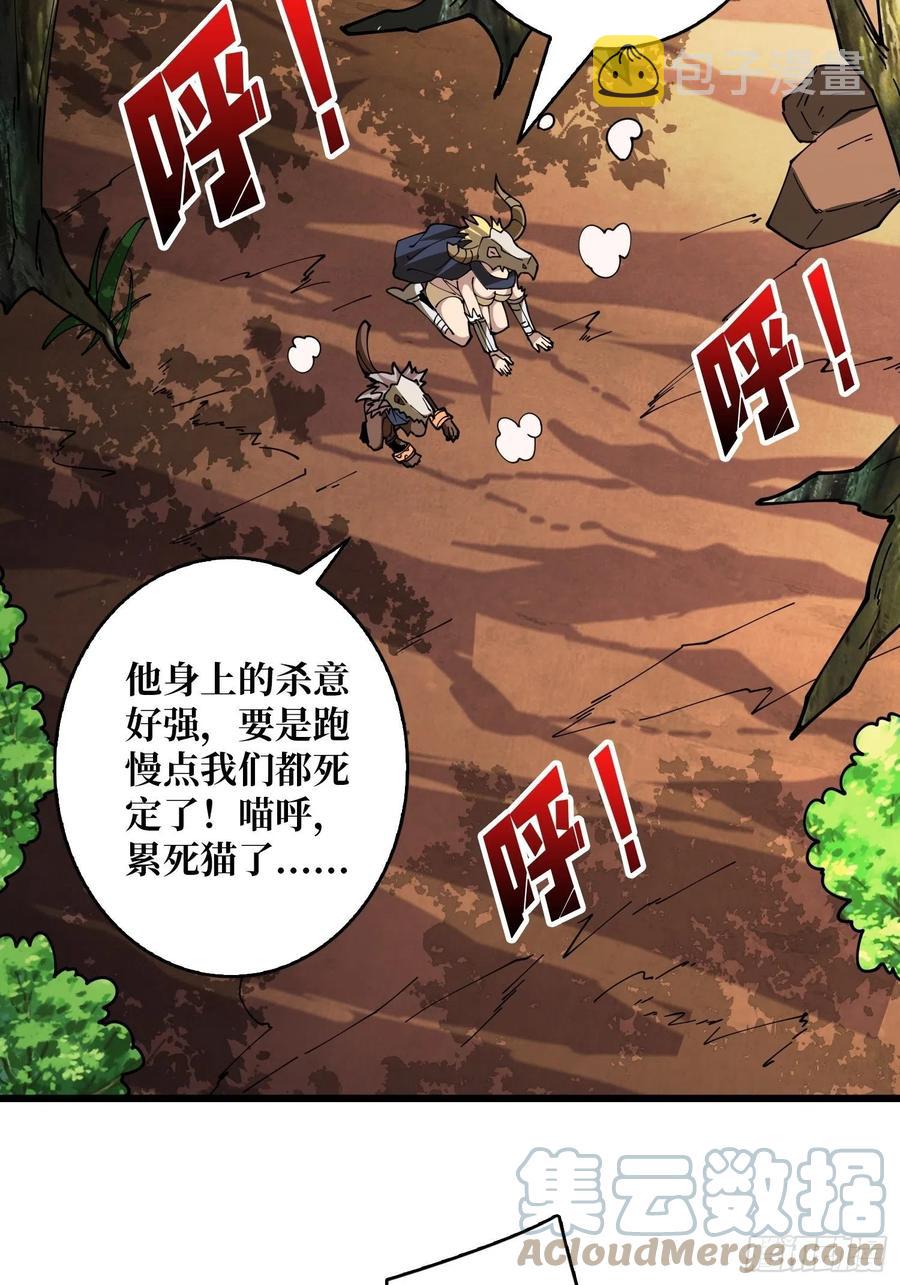 猫与谜之少女51