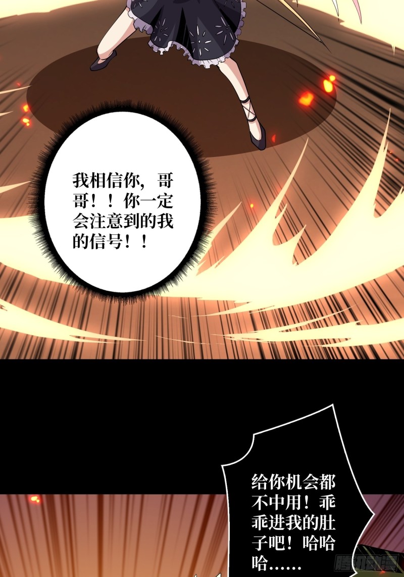 信号28