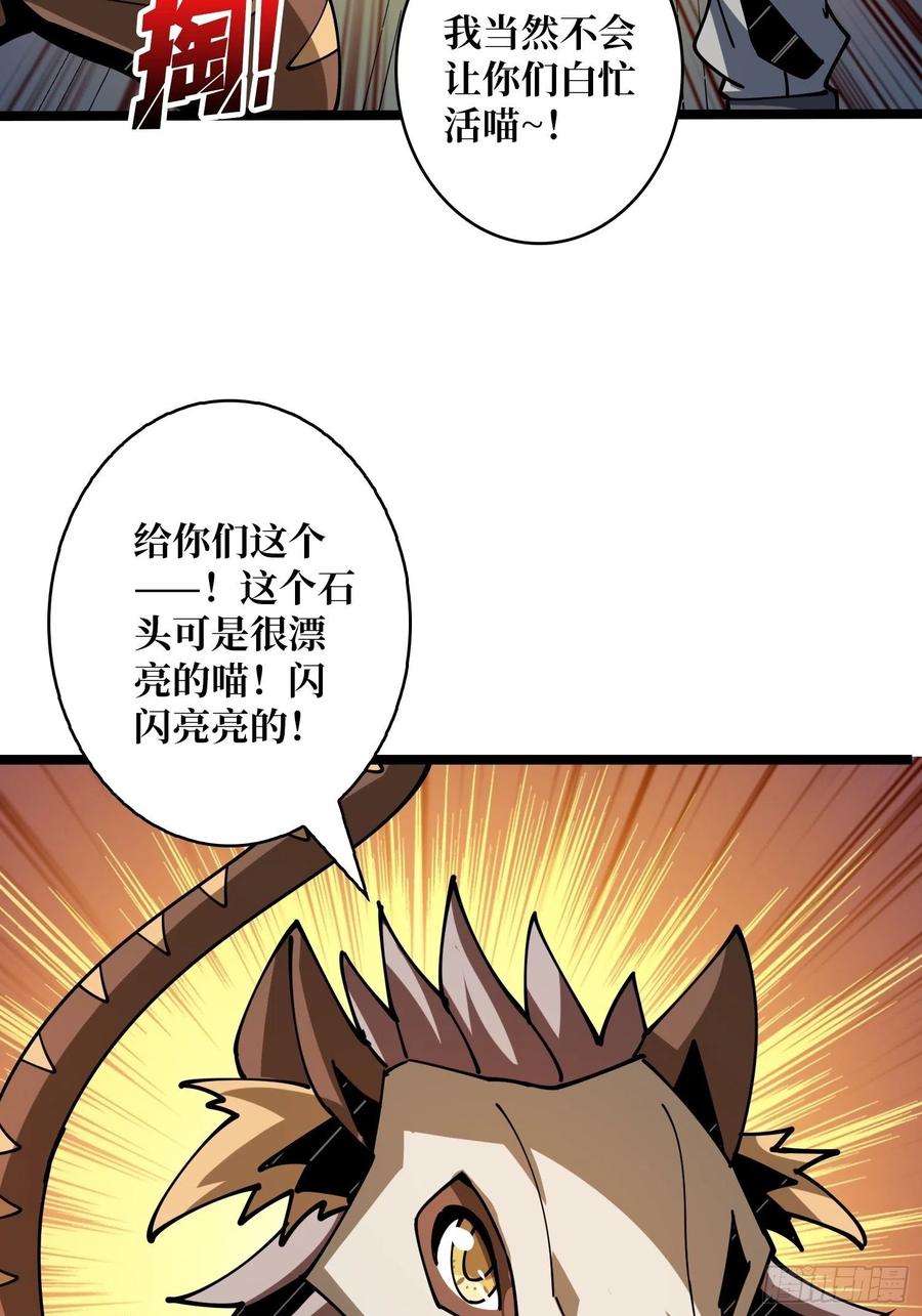 猫的报恩53