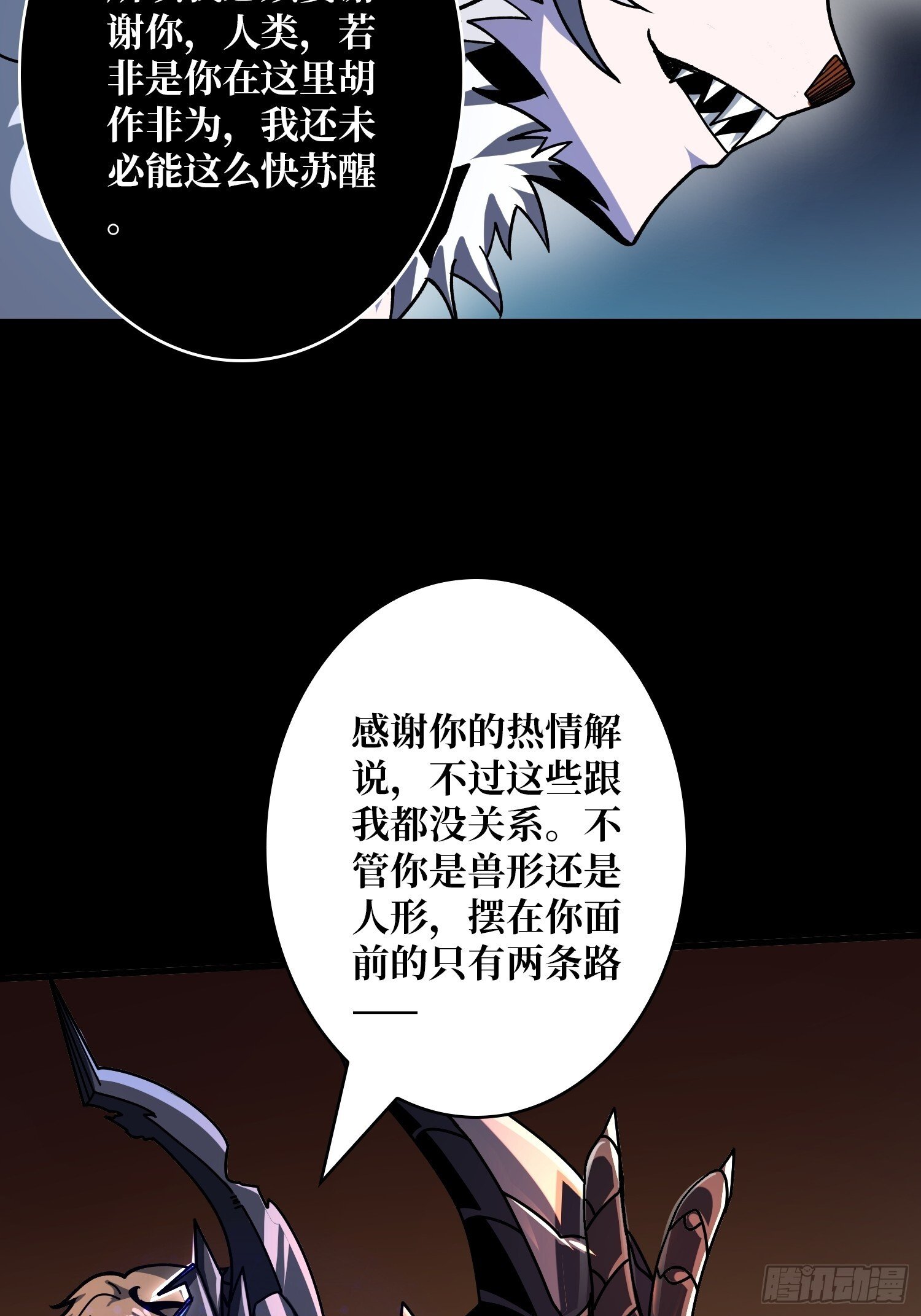 雌性叶昊24