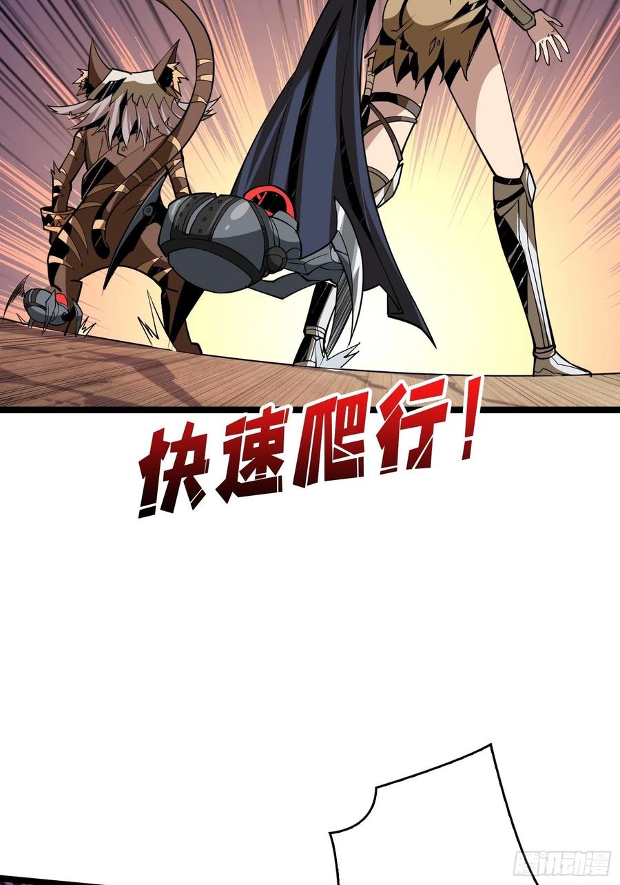 猫的报恩25