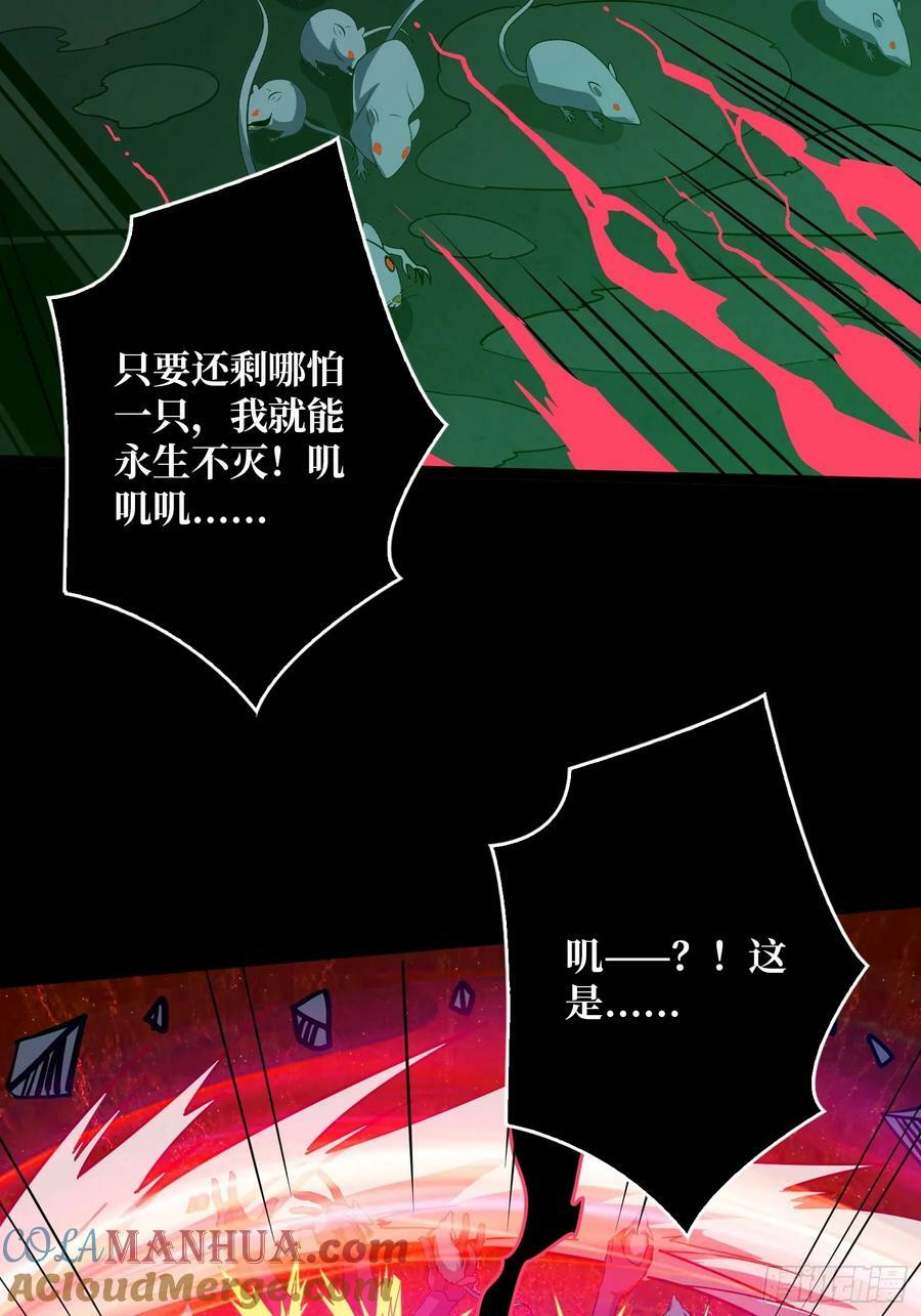 下水道的鼠鼠60