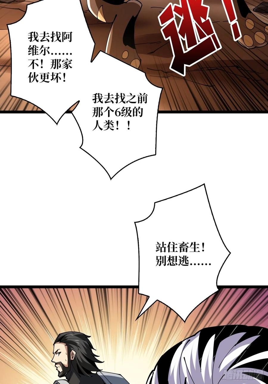 猫的报恩31