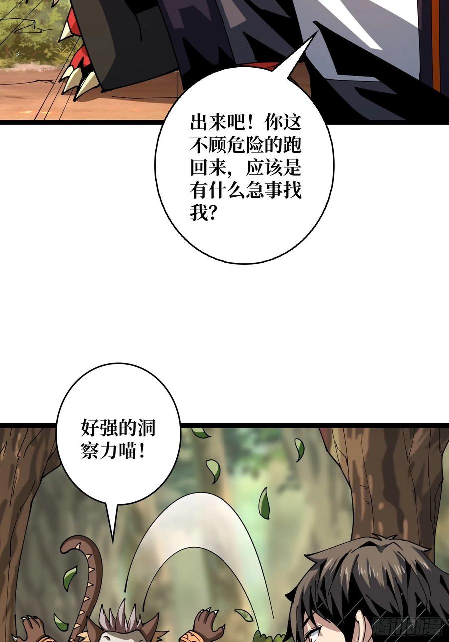 猫的报恩46