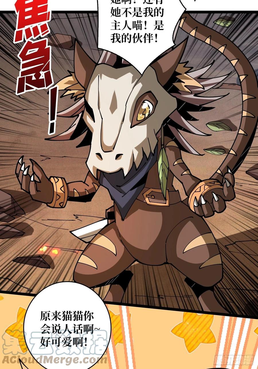 猫的报恩48