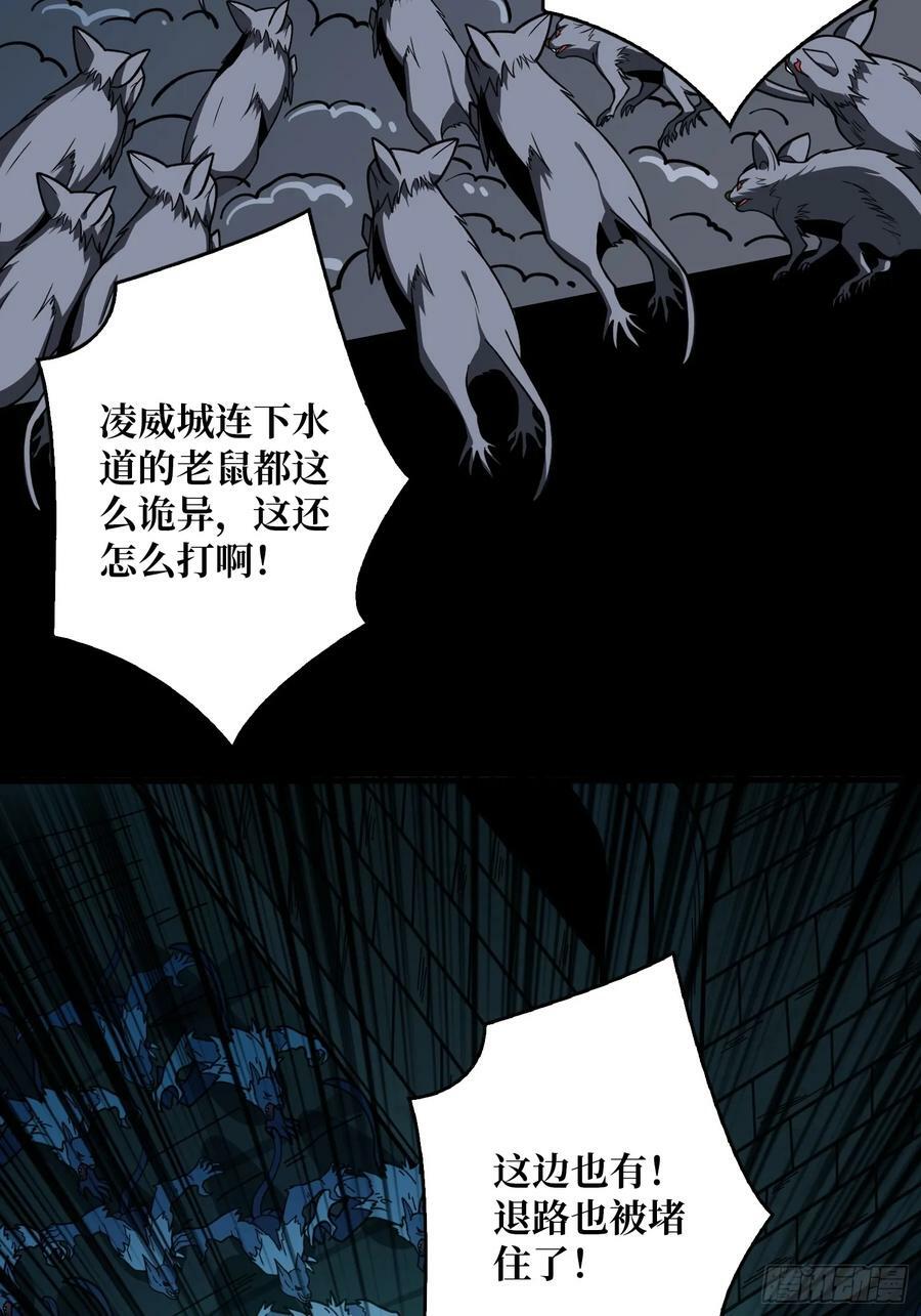 下水道的鼠鼠22