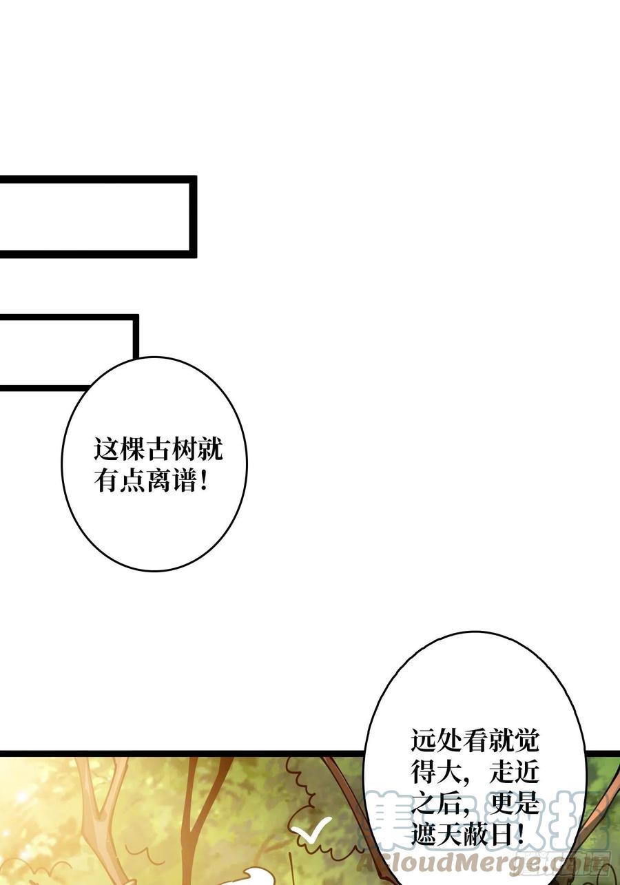 猫的报恩39