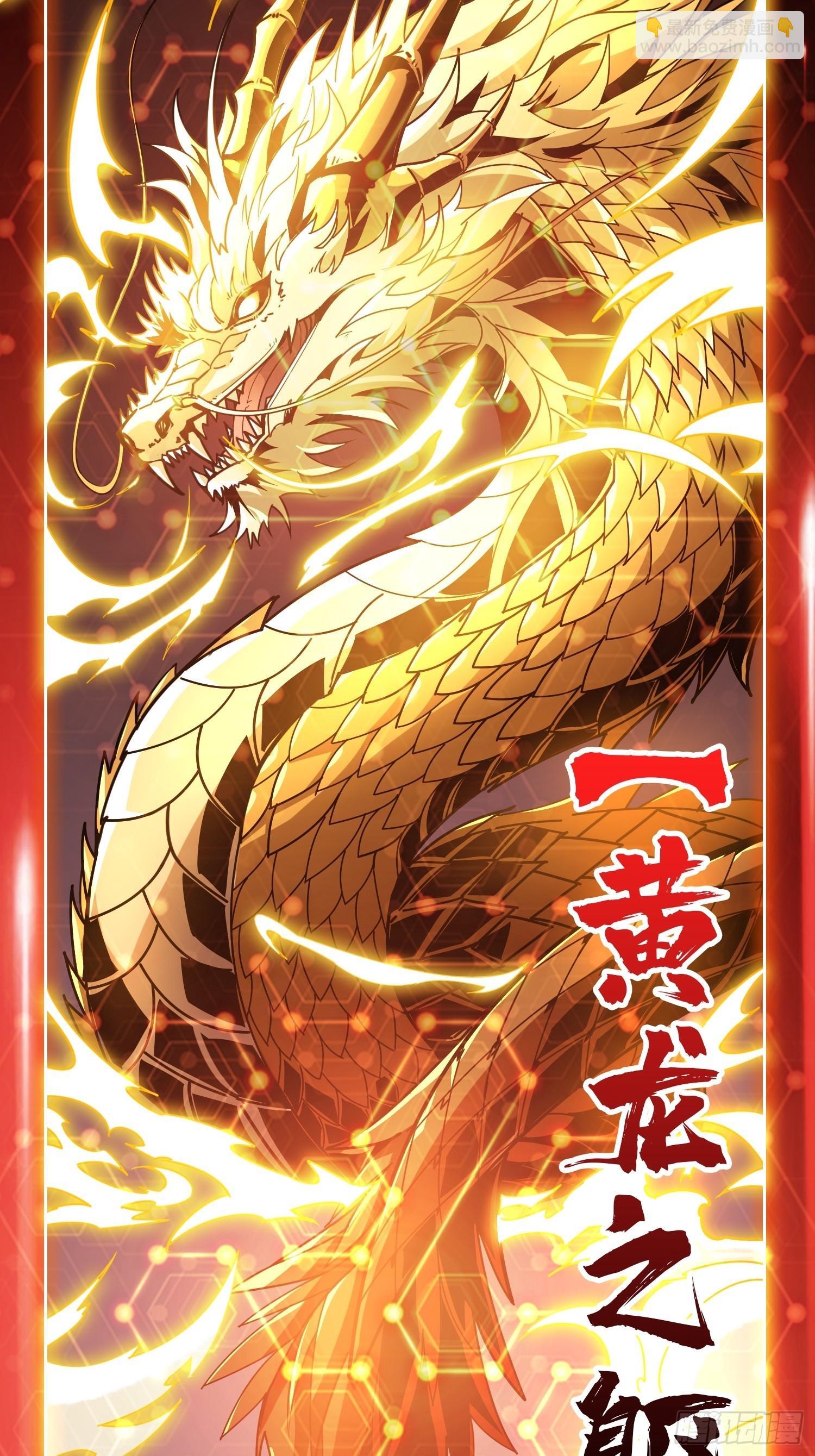 黄龙之躯66