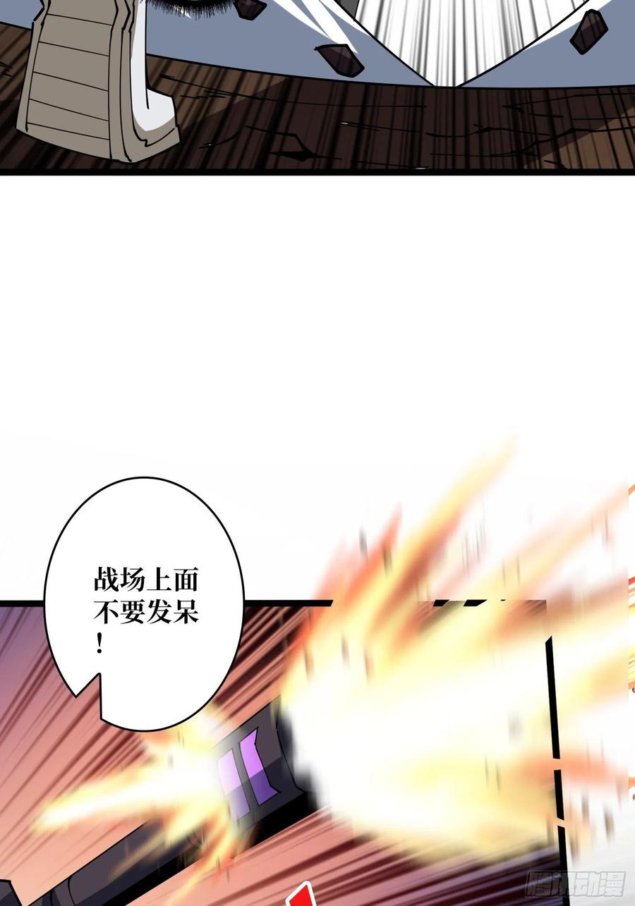 猫的报恩13