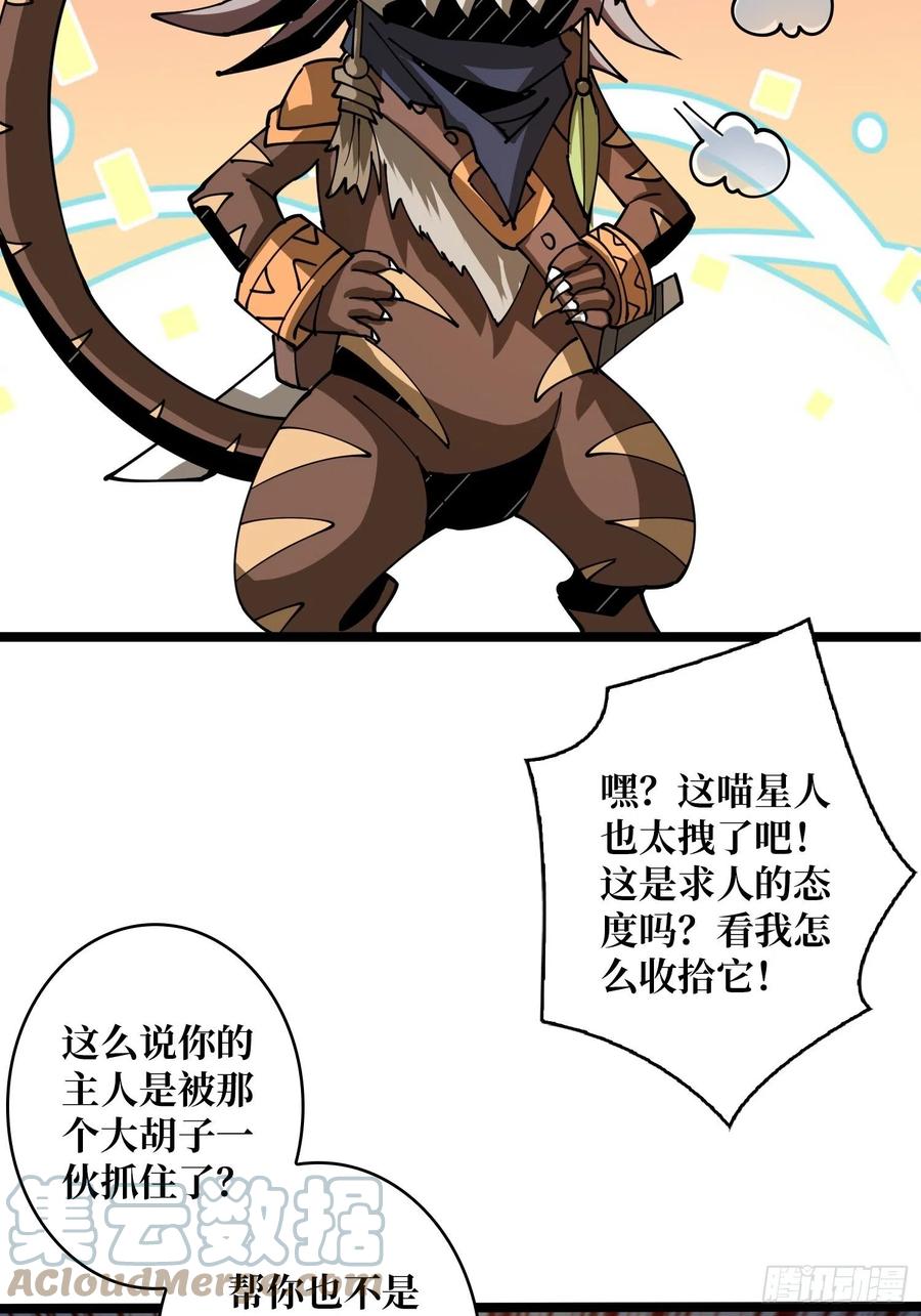 猫的报恩51