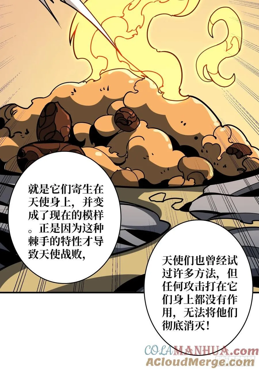 不死不灭72