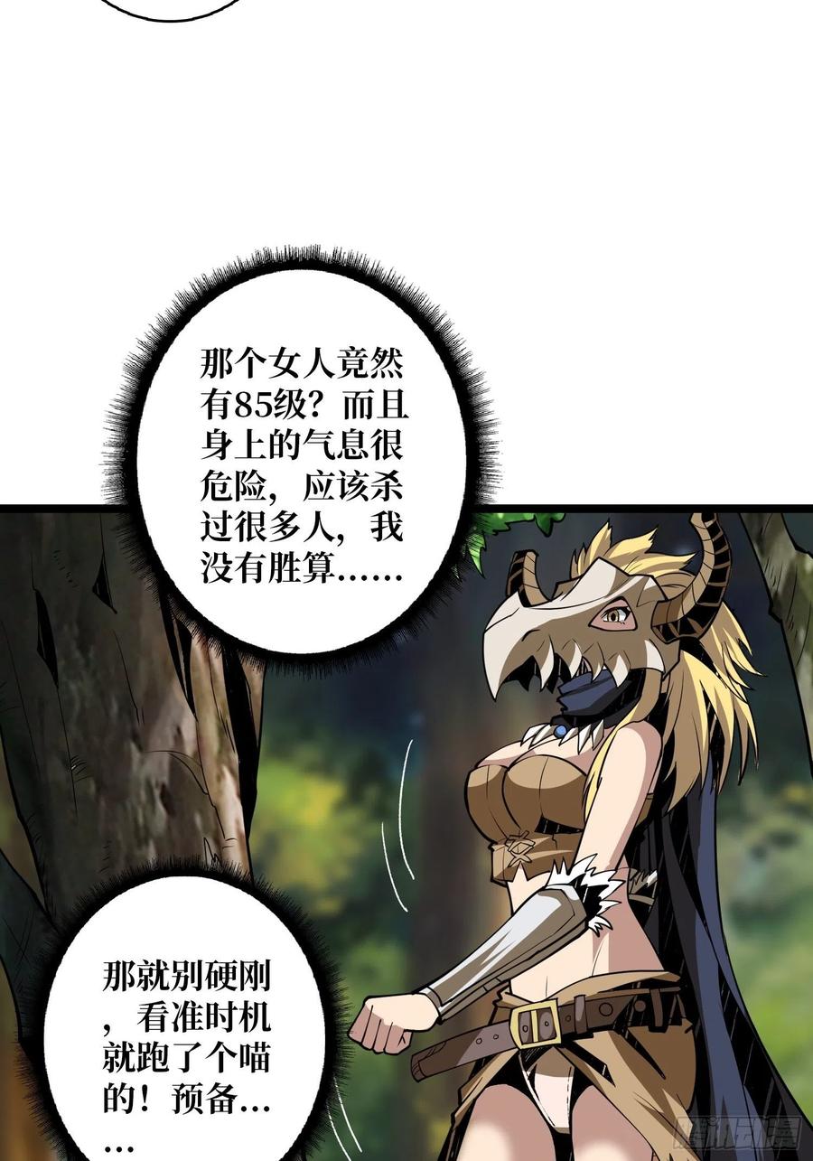 猫的报恩19