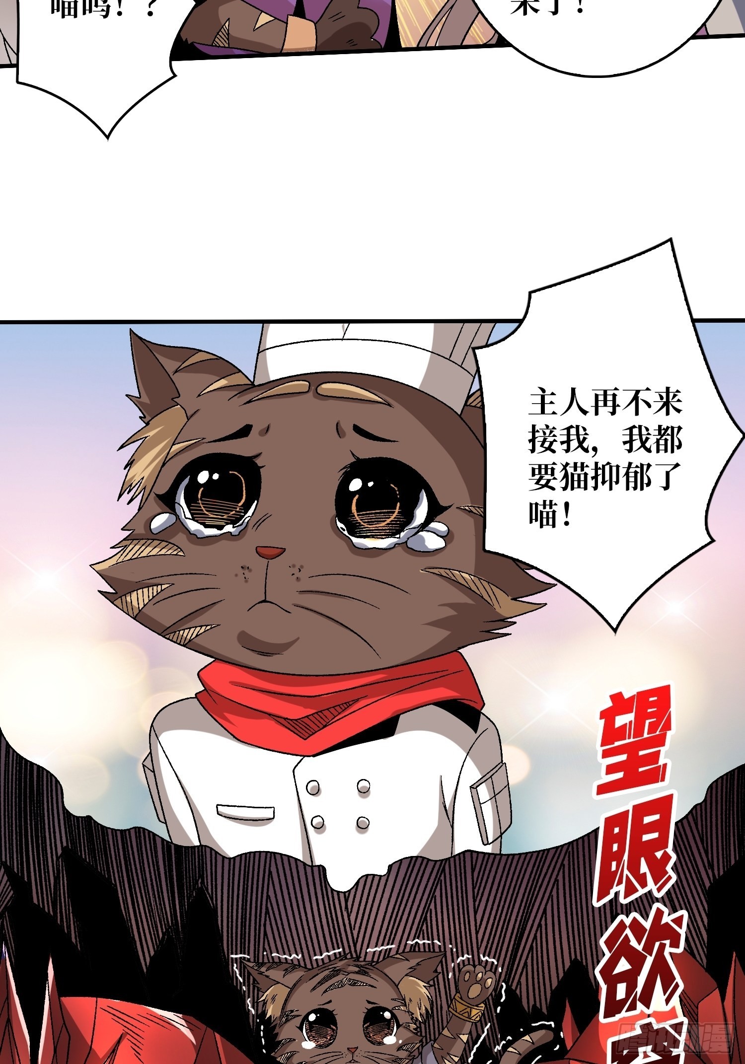 还不如一只喵？46