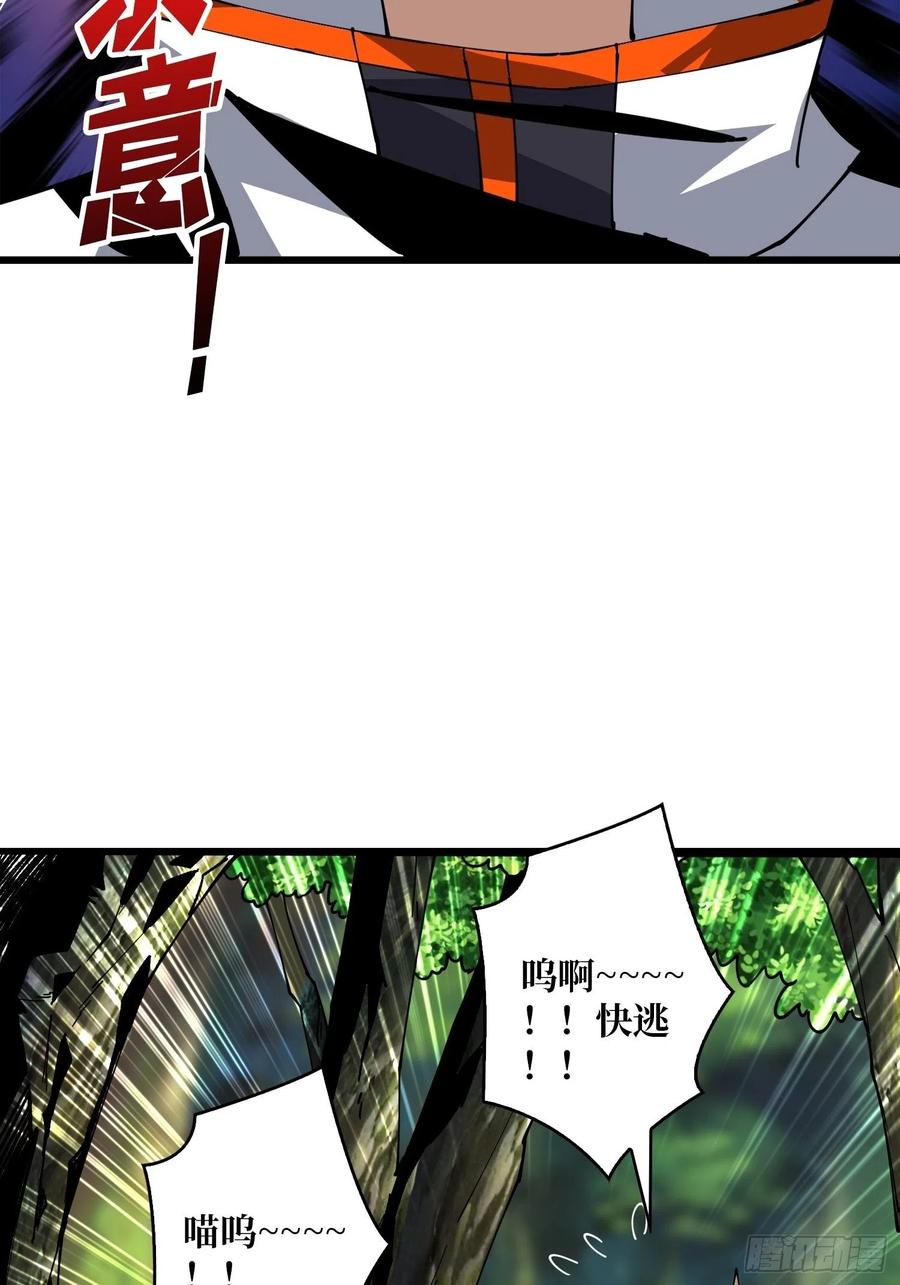 猫与谜之少女47