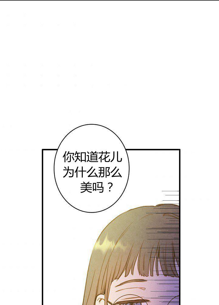 第44话 艺术中介师33