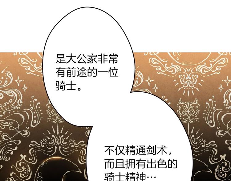 第17话 最合适的骑士26