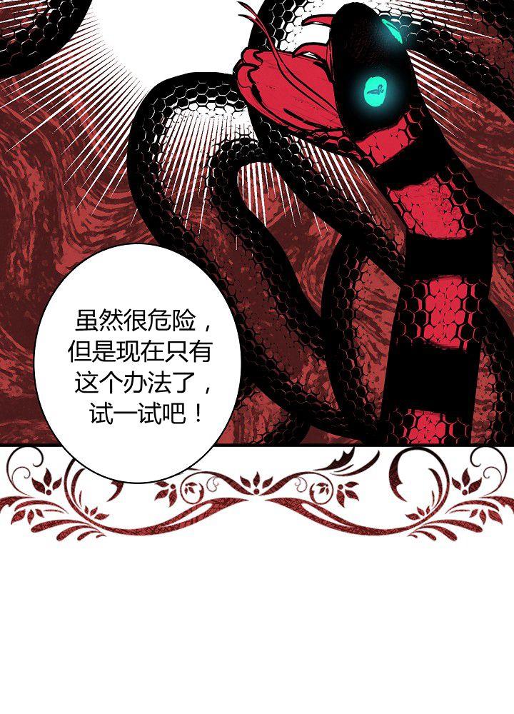 第37话 公女·危19