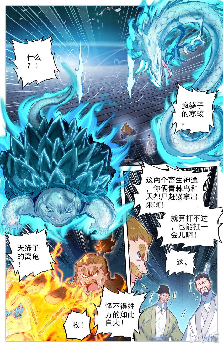 228 金丝蚕6