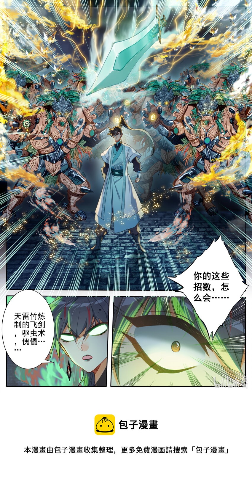 202 金雷竹对金雷竹！12