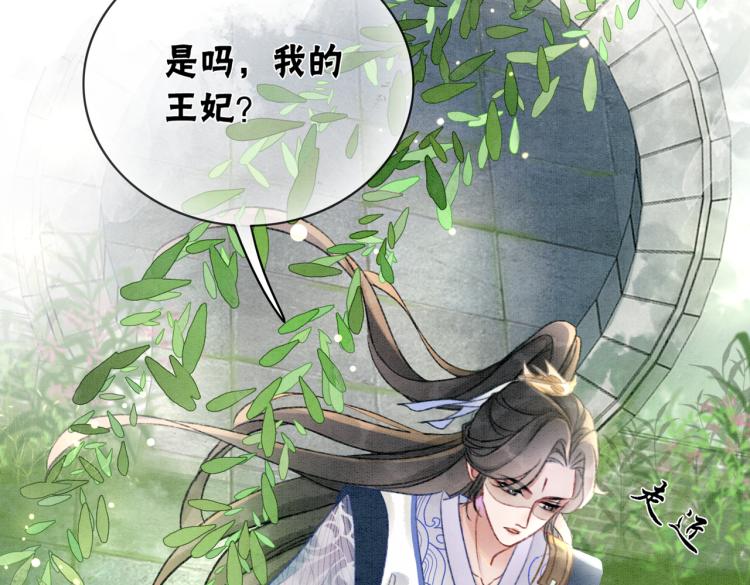 第4话 王妃她要钻狗洞？96