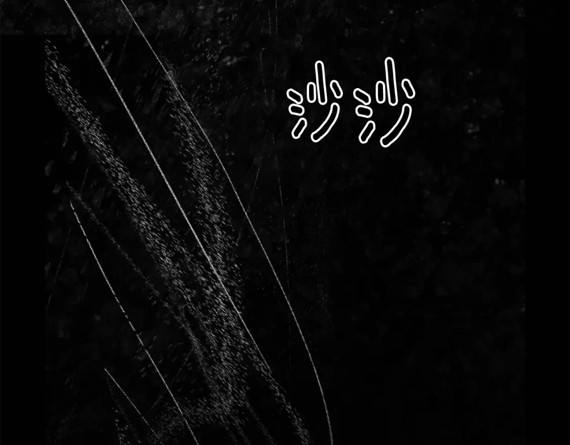 第54话 贝尼的过去162