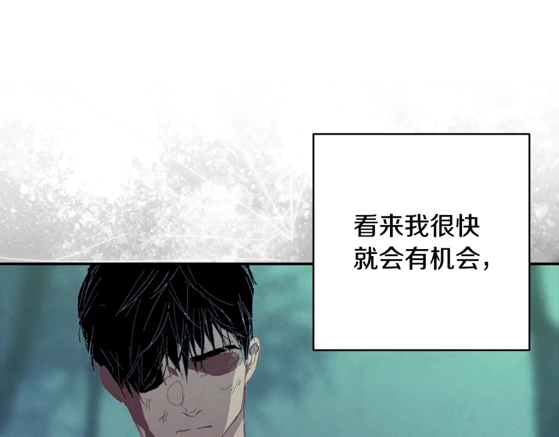 第77话 发现踪迹113