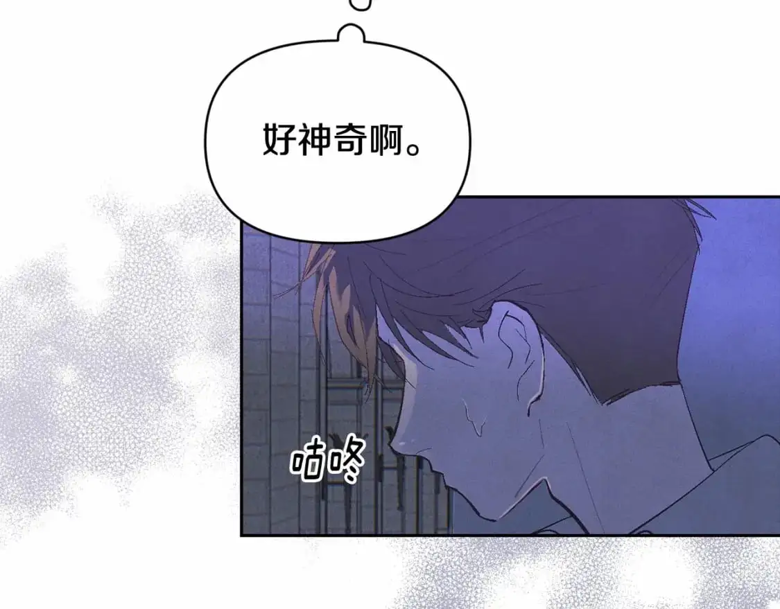 第二季回归 想保护的人12