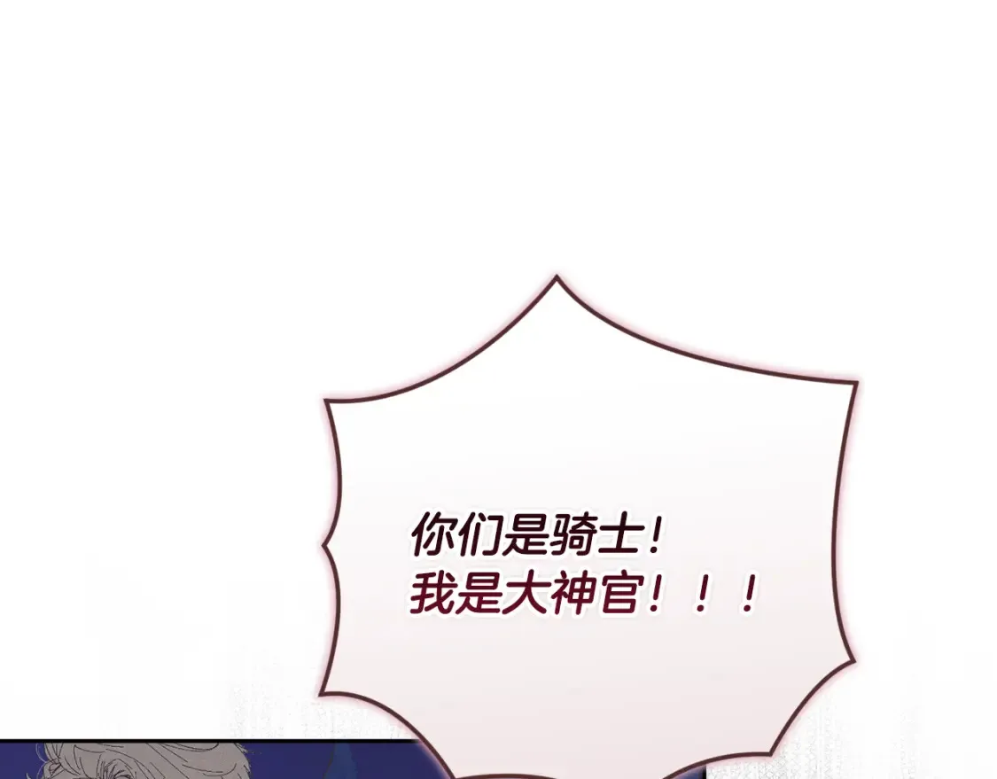 第97话 攻击大神官174