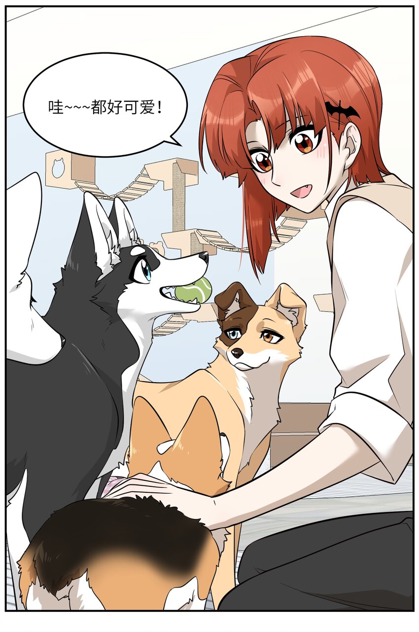 067 你真可爱5
