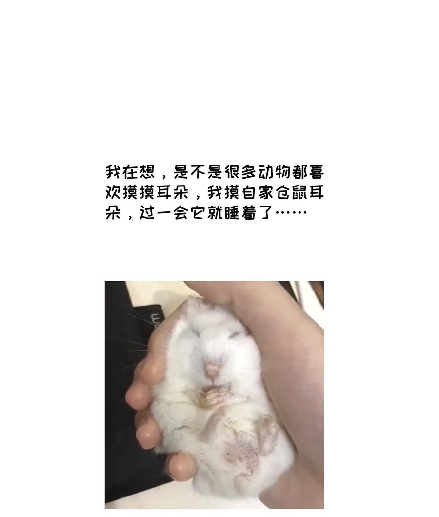 051 其实是担心你33