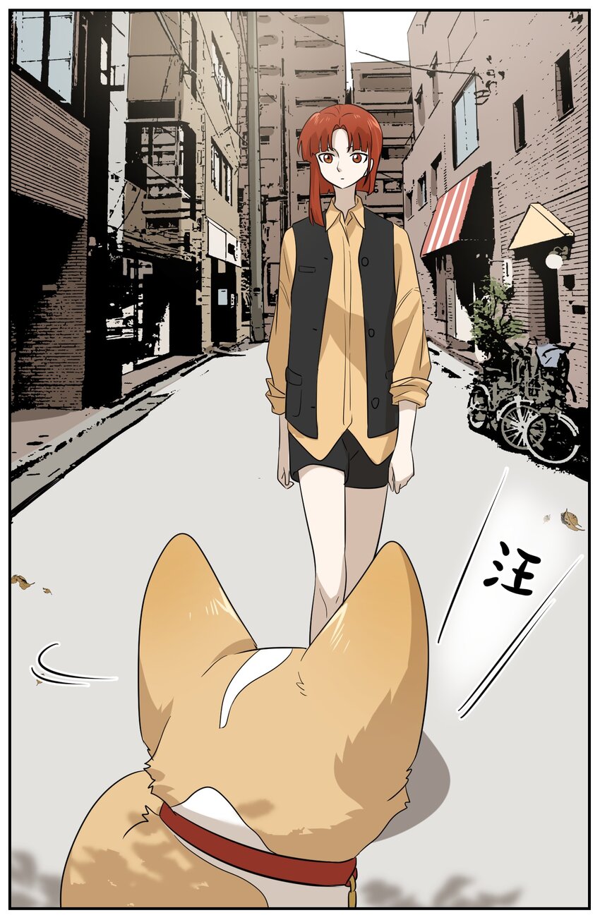 008 走散16