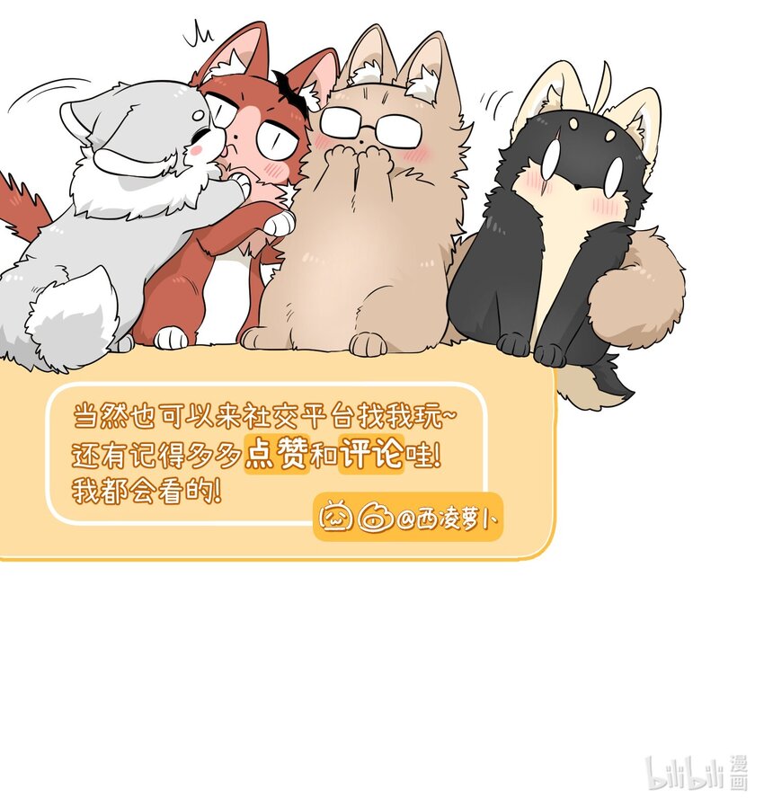 101 剥离51