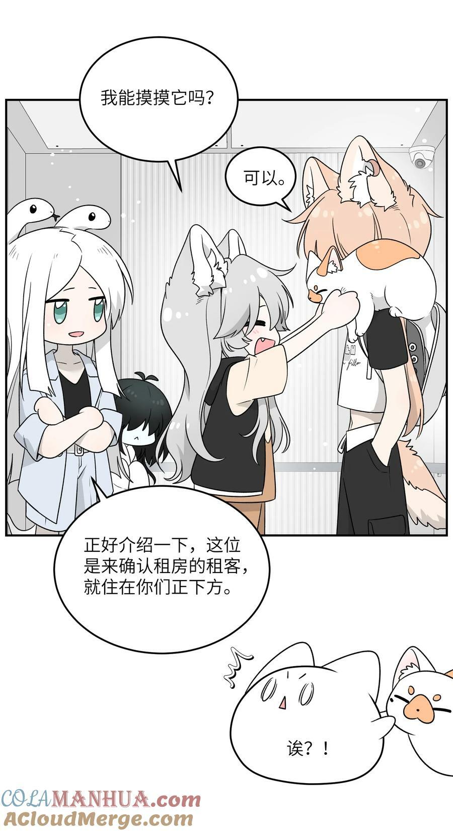 144 新的租客26