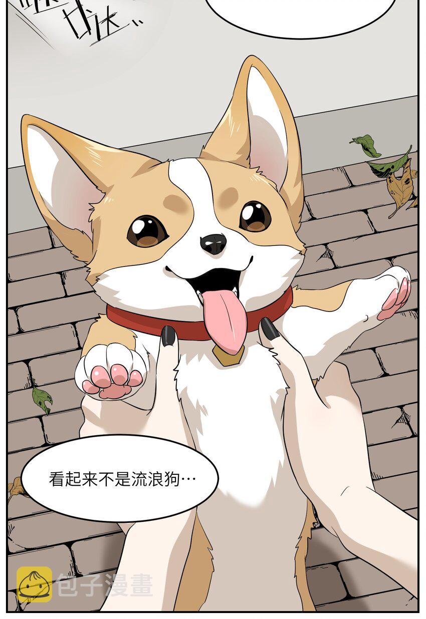 008 走散27