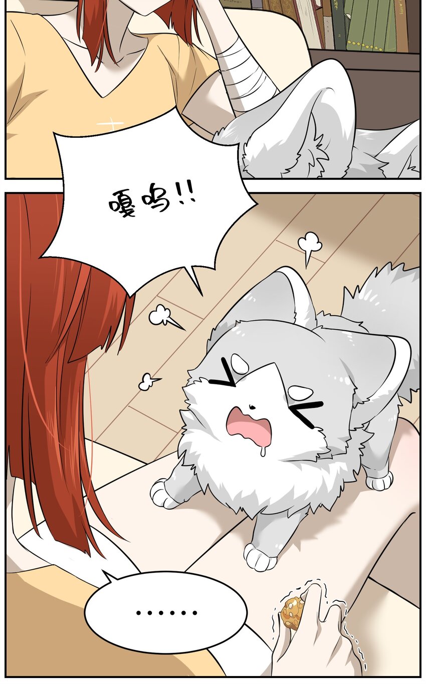 035 小可爱~11